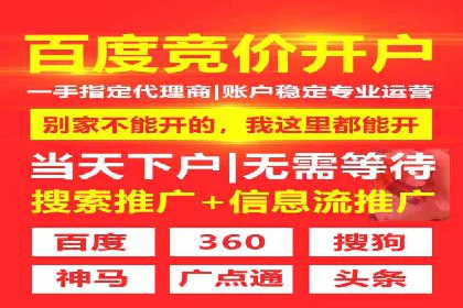 案例研究：关键词竞价排名实战技巧